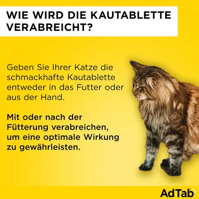Anleitung zur Verabreichung von Kautabletten: Geben Sie die Tablette Ihrer Katze ins Futter oder aus der Hand. Mit oder nach der Fütterung für optimale Wirkung verabreichen.