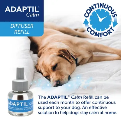 ADAPTIL Calm Diffuser Refill provides continuous comfort and monthly support to help dogs stay calm at home, as described in the product information on the image.