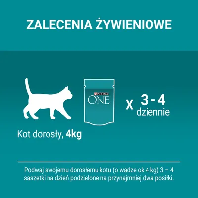 Zalecenia żywieniowe dla kota dorosłego 4 kg: Purina ONE, 3–4 saszetki dziennie podzielone na co najmniej dwa posiłki.