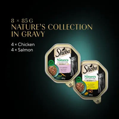 Sheba Nature’s Collection in Gravy, 8 x 85g trays: 4 with chicken and 4 with salmon. Chicken variety garnished with red pepper, salmon variety garnished with peas.