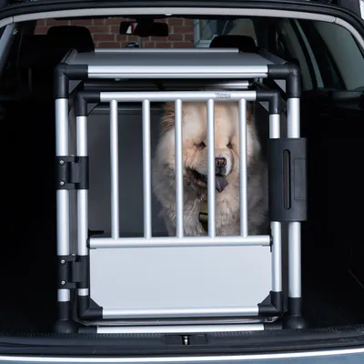 Metal transport box with bars, placed in the boot of a car. A dog is sitting in the box and looking forward.