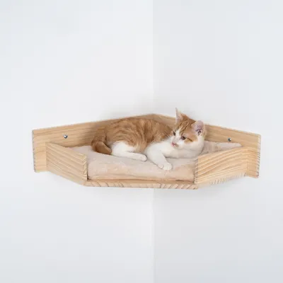 Chat allongé sur une étagère d’angle murale en bois avec coussin beige, fixée au mur. Matériaux visibles : bois et tissu.