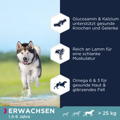 Vuxenfoder för hundar 1,5–6 år och över 25 kg. Glukosamin och kalcium för ben, lamm för muskler, omega 6 och 3 för hud och päls.
