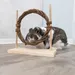 Trixie Agility-Set für Kaninchen