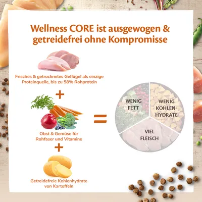 Wellness CORE est équilibré et sans céréales. Texte en allemand : protéines de volaille 58 %, fruits et légumes pour fibres et vitamines, glucides de pommes de terre. Graphique : peu de gras, peu de glucides, beaucoup de viande.
