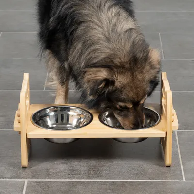 Hund frisst aus erhöhtem Futterstation mit zwei Edelstahlnäpfen und Holzgestell. Geeignet für ergonomisches Fressen.