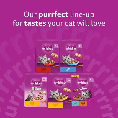 Five Whiskas cat food packs with different varieties and age specifications, Text: Our purrfect line-up for tastes your cat will love.