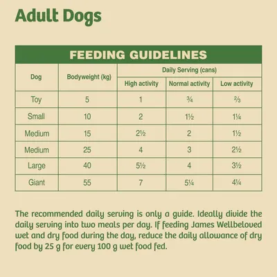 Feeding guidelines table for adult dogs by bodyweight and activity level, showing daily serving in cans. Includes advice to divide servings and adjust dry food if feeding wet and dry together.