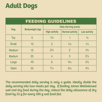Feeding guidelines table for adult dogs by bodyweight and activity level, with advice to divide daily serving into two meals and adjust dry food if feeding wet and dry together.