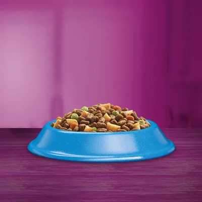 Bowl filled with assorted dry pet food pieces in various shapes and colours, displayed on a purple surface with a blue bowl.
