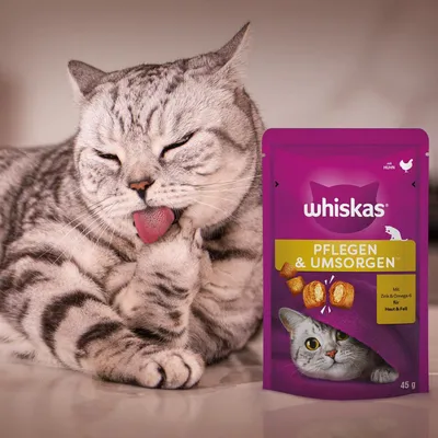 Whiskas Pflegen & Umsorgen csirkével, cinkkel és omega-6-tal bőrre és szőrre. A csomagoláson takaró alatt lévő macska látható. Tartalom: 45 g.