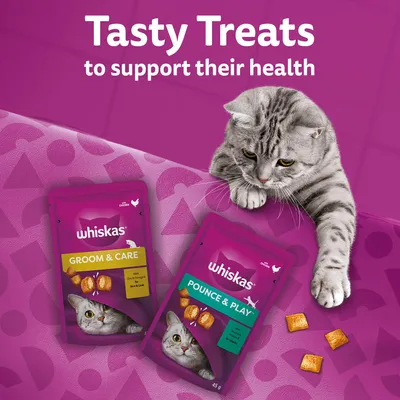 whiskas Groom & Care és Pounce & Play macska jutalomfalat csomagolás, 45 g. Felül angol szöveg: Tasty Treats to support their health. Szürke cica és falatok láthatók.