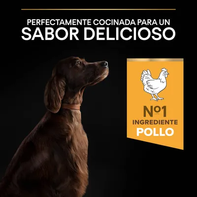 Perfectamente cocinada para un sabor delicioso. Nº1 ingrediente pollo.