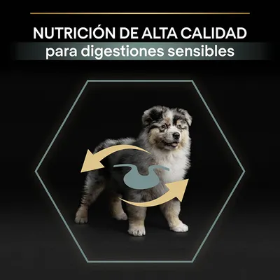 NUTRICIÓN DE ALTA CALIDAD para digestiones sensibles. Imagen de un cachorro con icono de estómago y flechas, destacando beneficios digestivos.