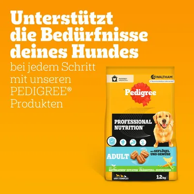 Pedigree Professional Nutrition Adult s perutnino in zelenjavo, 12 kg. Podpira potrebe psa z naravnimi sestavinami, prebiotiki in superživili.