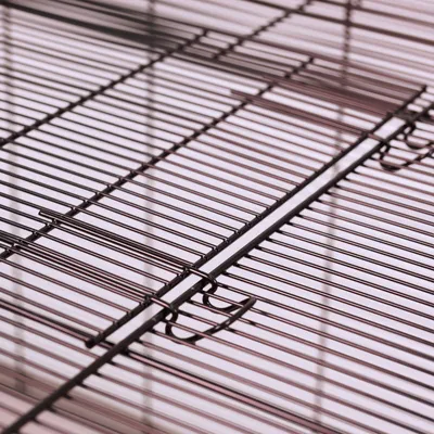 Primo piano di un design a griglia metallica con ganci e collegamenti, adatto per gabbie o recinti.