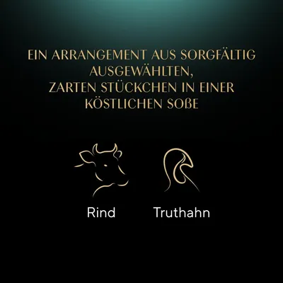 Ein Arrangement aus sorgfältig ausgewählten, zarten Stückchen in köstlicher Sosse. Zutaten: Rind und Truthahn.