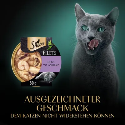 Sheba Filets Huhn mit Garnelen, 60 g. Ausgezeichneter Geschmack, dem Katzen nicht widerstehen können.