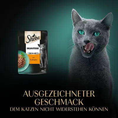 Sheba Delikatesse in Gelee mit Truthahn, 85g. Ausgezeichneter Geschmack, dem Katzen nicht widerstehen können.
