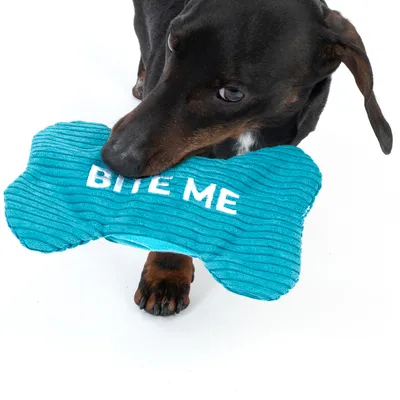 Hund håller ett blått leksaksben med texten 'BITE ME'.