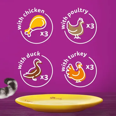 with chicken x3, with poultry x3, with duck x3, with turkey x3 – angol nyelvű szöveg és állat ikonok lila háttéren, sárga tányér részben látható.