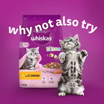 Whiskas Kitten food for 2-12 months, with chicken. Image shows product pack, dry food pieces, and two kittens. Text: why not also try.