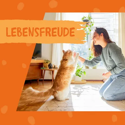Texte en allemand : LEBENSFREUDE, affiché sur une image avec un chat roux et blanc debout sur ses pattes arrière face à une personne dans un salon lumineux.