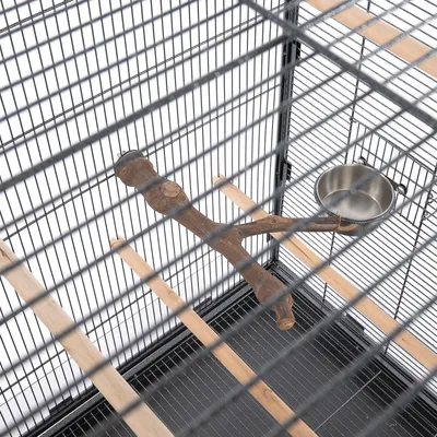 Birdcage interior with wooden perches, natural branch and stainless steel food bowl.