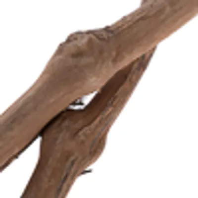 Natural wood piece with rough surface, suitable for decoration or pet accessories.