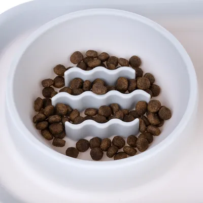 White anti-gulping bowl with wave-shaped obstacles, filled with brown dry food pieces.