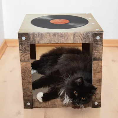Mačja kućica drvenog izgleda s dizajnom vinilnih ploča na vrhu. Crna mačka leži opušteno unutar kućice.