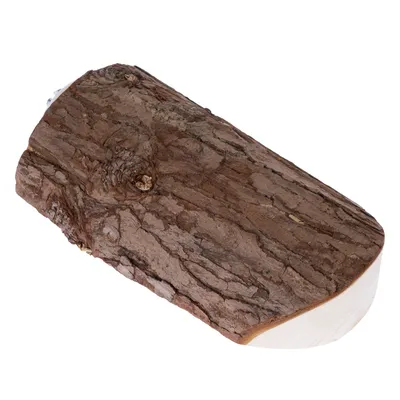 Bucată de lemn cu suprafață naturală de scoarță, potrivită pentru decor sau pentru nevoile animalelor mici.