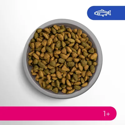 Schüssel mit Trockenfutter, Fischsymbol oben rechts, rosa Balken mit '1+' unten.