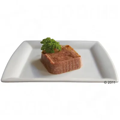 Portion de pâtée pour animaux en forme de bloc, servie sur une assiette blanche carrée avec un brin de persil posé dessus. Aucun emballage visible.