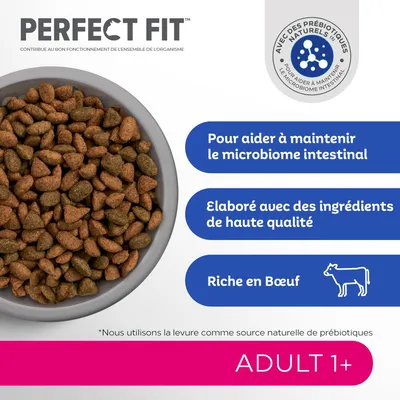 Perfect Fit Adult 1+ croquettes, avec des prébiotiques naturels, pour aider à maintenir le microbiome intestinal, élaboré avec des ingrédients de haute qualité, riche en bœuf.