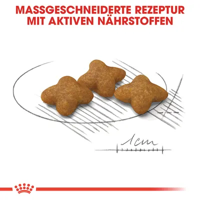 Massgeschneiderte Rezeptur mit aktiven Nährstoffen. Gezeigte Krokettenform mit einer Grösse von 1 cm.