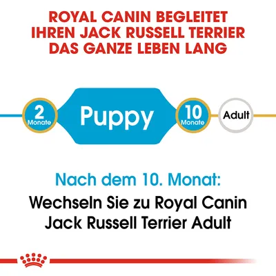 Royal Canin begleitet Jack Russell Terrier von Puppy (2 Monate) bis Adult (10 Monate). Nach dem 10. Monat wechseln Sie zu Royal Canin Jack Russell Terrier Adult.
