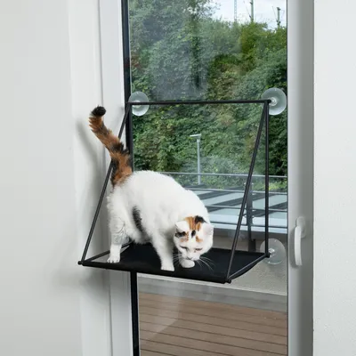 Plateforme pour chat fixée à une fenêtre par ventouses, structure en métal noir et surface en tissu, chat blanc tacheté debout dessus.