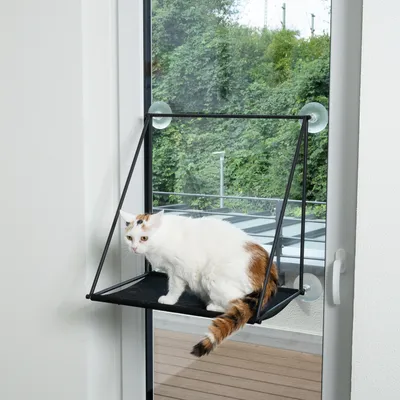 Plateforme pour chat fixée à une fenêtre par ventouses, avec un chat blanc et roux assis dessus. Structure en métal noir et surface en tissu foncé visibles.