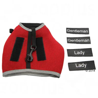 Red harness with four interchangeable name tags reading 'Gentleman' and 'Lady', showing customisable options for identification.