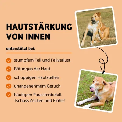 Hautstärkung von innen, unterstützt bei stumpfem Fell, Fellverlust, Rötungen der Haut, schuppigen Hautstellen, unangenehmem Geruch und häufigem Parasitenbefall. Tschüss Zecken und Flöhe!