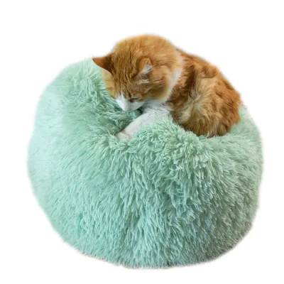 Kuscheliges, mintgrünes Haustierbett mit flauschiger Oberfläche. Eine orange-weisse Katze liegt darin und ruht sich aus.