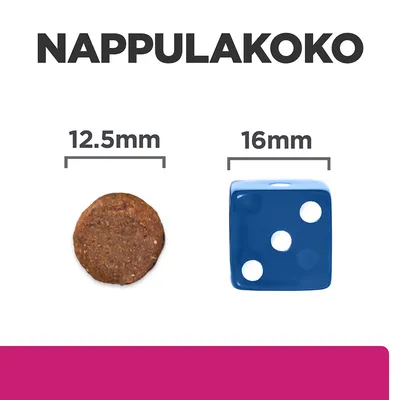 NAPPULAKOKO. Koiranruokanappula 12,5 mm ja sininen noppa 16 mm rinnakkain koon vertailua varten.