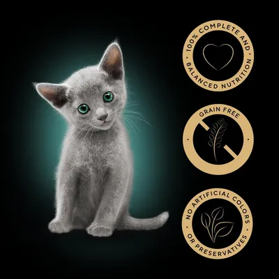 Three icons: 100% complete and balanced nutrition, grain free, and no artificial colours or preservatives. Grey kitten shown next to the icons.