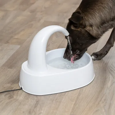 Hund trinkt aus einer weißen Trinkbrunnen mit fließendem Wasser. Brunnen steht auf einem Holzboden und ist elektrisch angeschlossen.