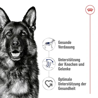 Gesunde Verdauung, Unterstützung der Knochen und Gelenke, Optimale Unterstützung der Gesundheit.