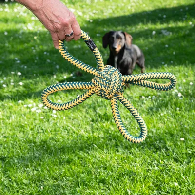 Legetøj af flettet reb i gul-grønt mønster med flere løkker, holdt af en hånd. I baggrunden en hund på en græsplæne.