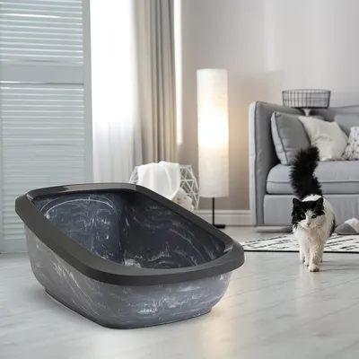 Bac à litière en plastique gris foncé avec rebord, posé au sol dans un salon moderne, chat noir et blanc visible à proximité.