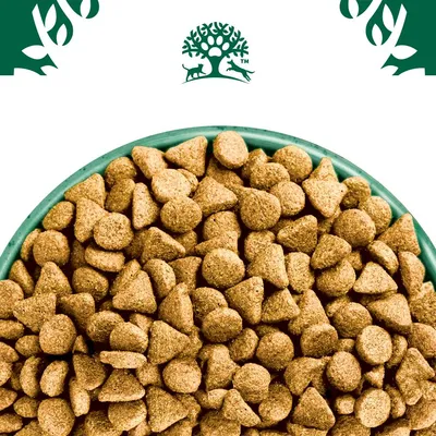 James Wellbeloved Adult Hypoallergenic Superfoods - Lamb with Potato & Chia