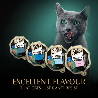 Sheba Classics in Terrine 85g packs with cod, tuna and vegetables, whitefish and carrots, salmon. Text: Excellent flavour that cats just can't resist.